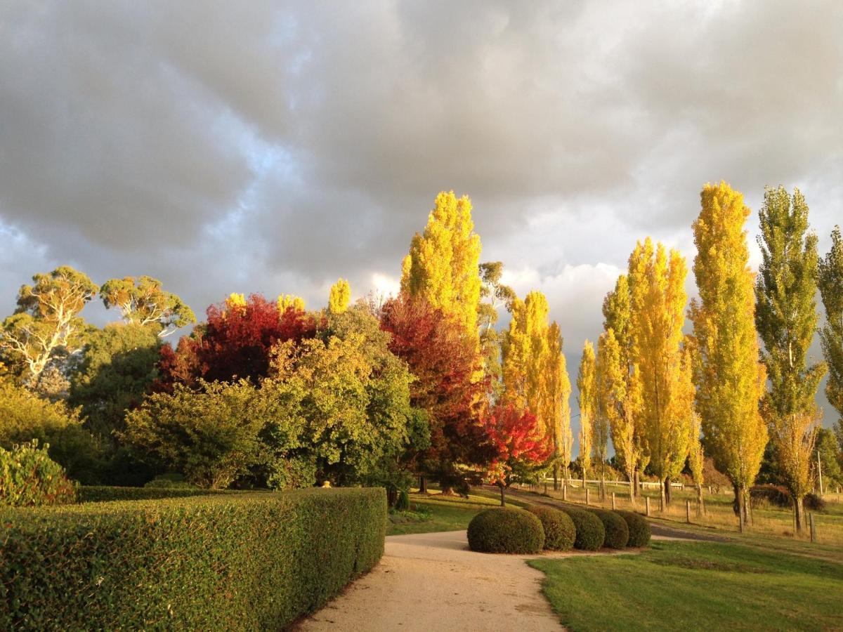 Glen Waverly Farmstay Glen Innes Exterior photo