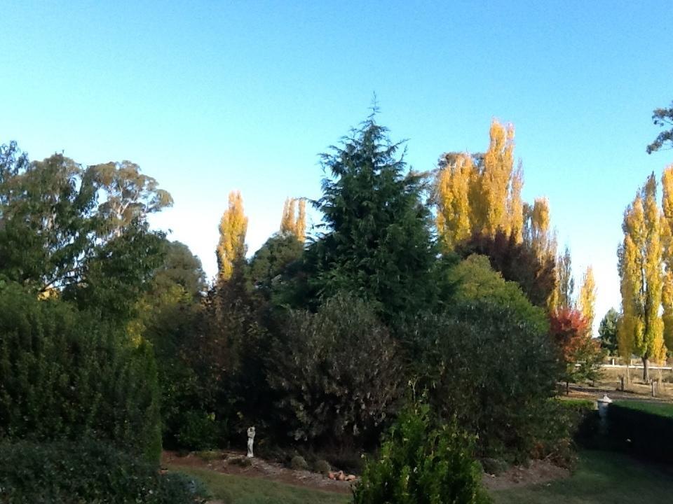 Glen Waverly Farmstay Glen Innes Room photo